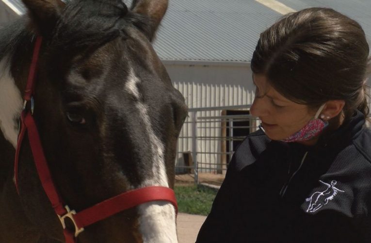 Horses Helping People Rebound From Mental Health Challenges