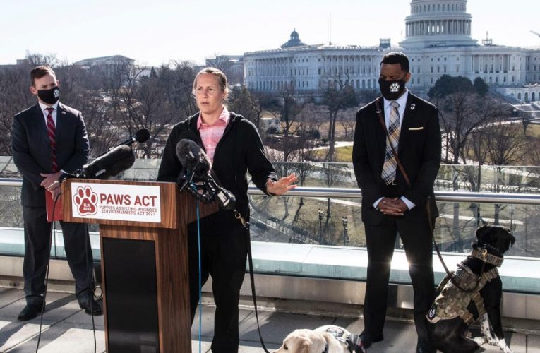 Group of House Lawmakers Fights for Greater Access to Service Dogs for Veterans with PTSD