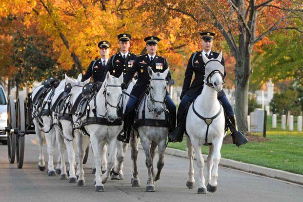 Alarming’: Two More Horses Die in Army’s Premier Ceremonial Unit, Marking Four Since February